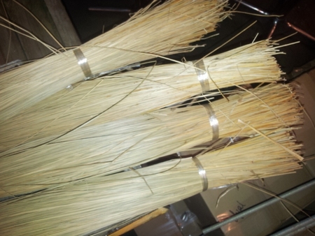 Gespleten zeegras in kilo bos van 160 cm lang