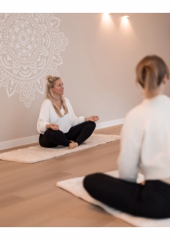 Yoga mat183 x 66cm geschikt voor rustige yogavormen met hoes