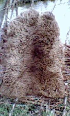 Schapenvacht Bruin - maat  1