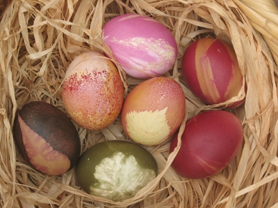Auro Paaseierverf met 5 kleuren